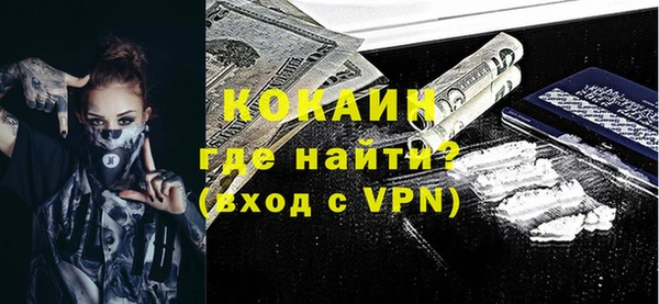 сатива Инсар