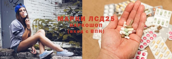 стафф Кулебаки