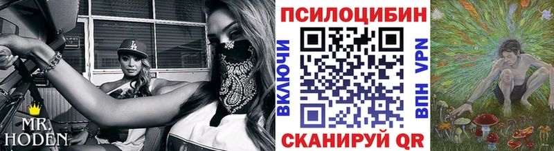 mega ONION  Вилючинск  Псилоцибиновые грибы прущие грибы  хочу наркоту 
