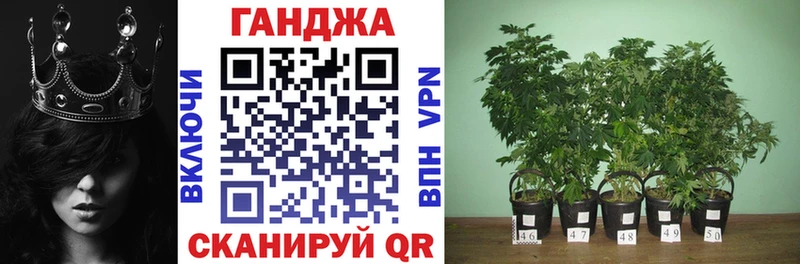 цены   Вилючинск  Каннабис OG Kush 